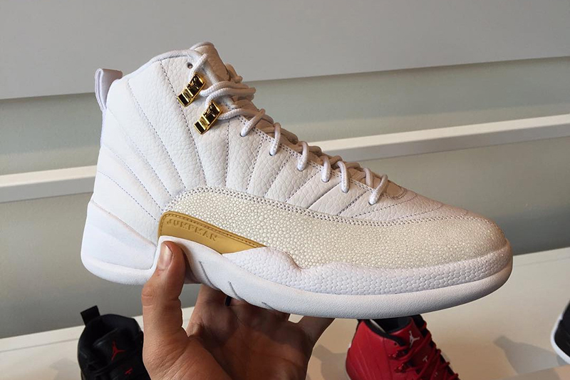 drake jordan 12s