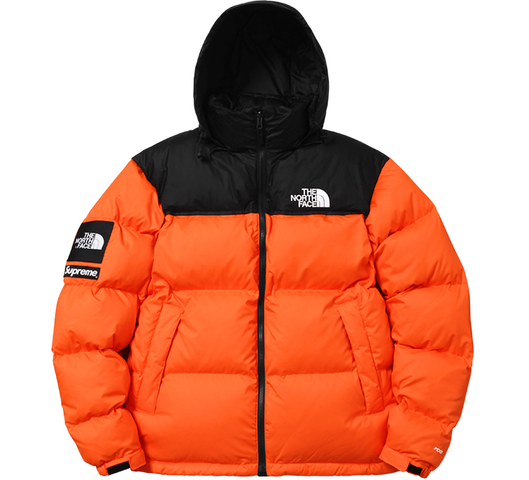 Supreme x north on sale face ski jacket