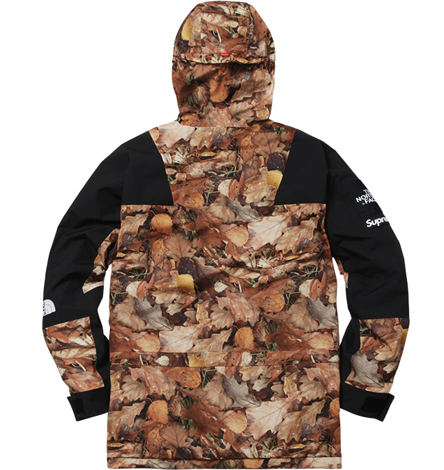 supreme_x_northface_22