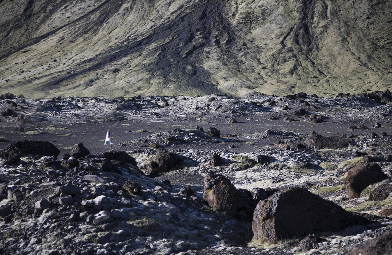 tobias-birk-nielsen-photo-ingi-arnason-16