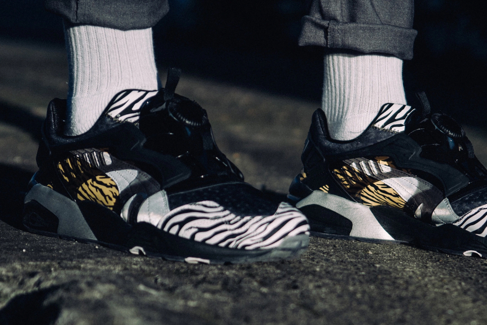 phantaci-puma-disc-blaze-king-of-monster-2