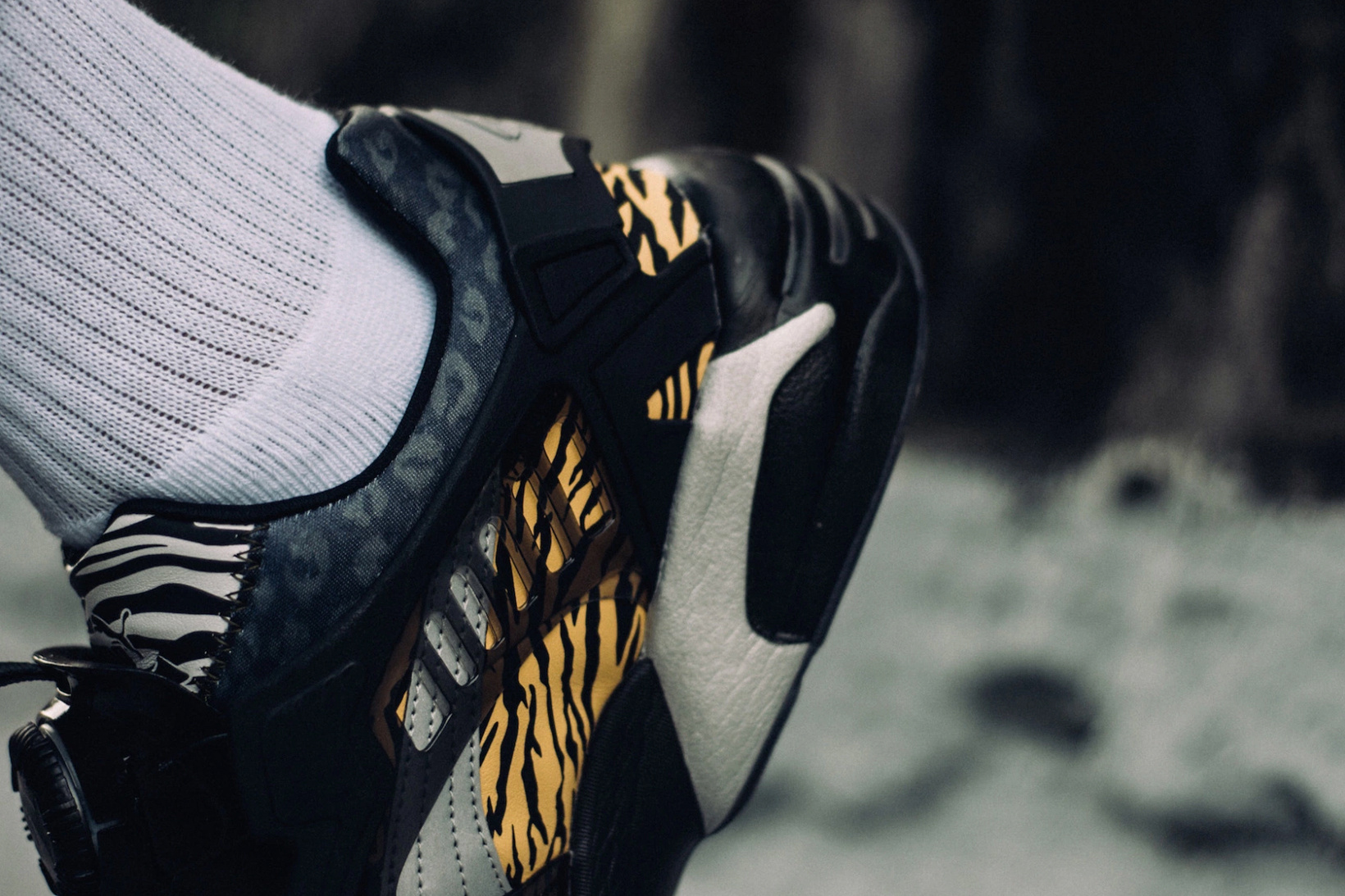 phantaci-puma-disc-blaze-king-of-monster-4