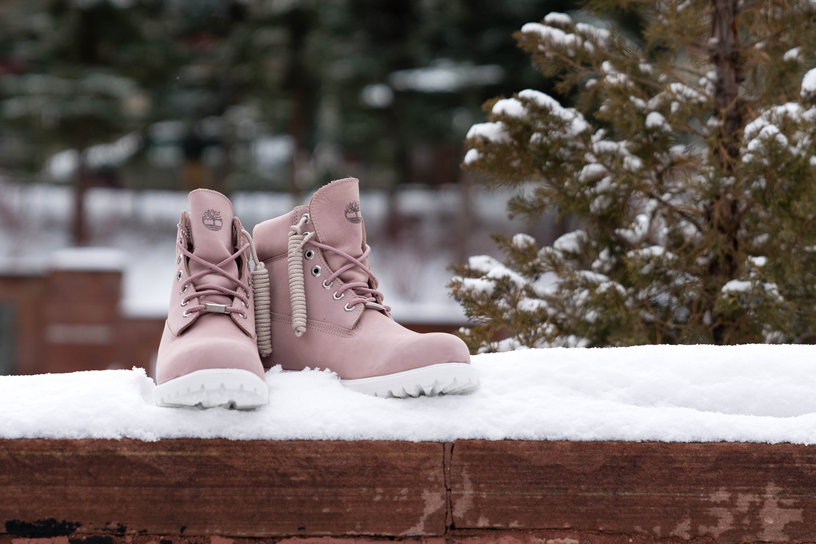 Ronnie Fieg Friends and Family Premium Timberland Boot