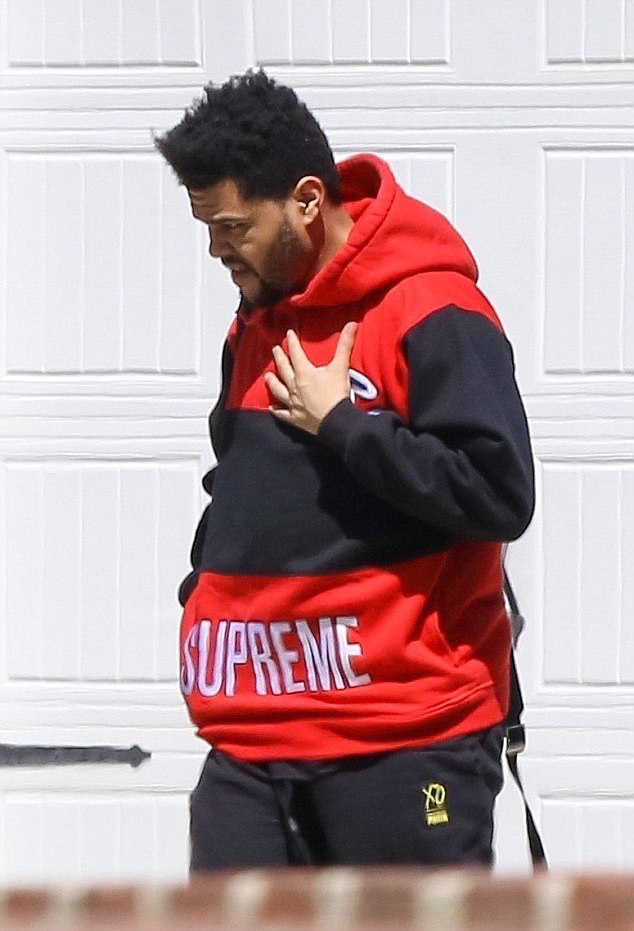 The weeknd store puma hoodie